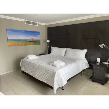 Sobrecama Microfibra Blanco Con Funda Decorativa Sham